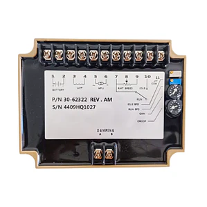 30-62322 Gobernador de Velocidad Genérico