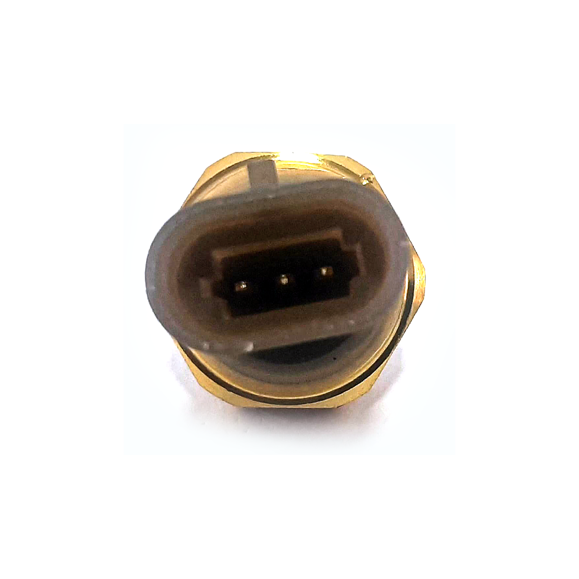 4921493 Sensor de Aceite Genérico 3