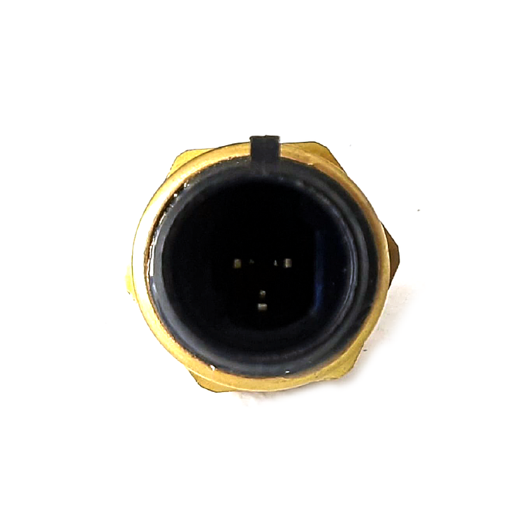A028X493 Sensor de Aceite Genérico 2