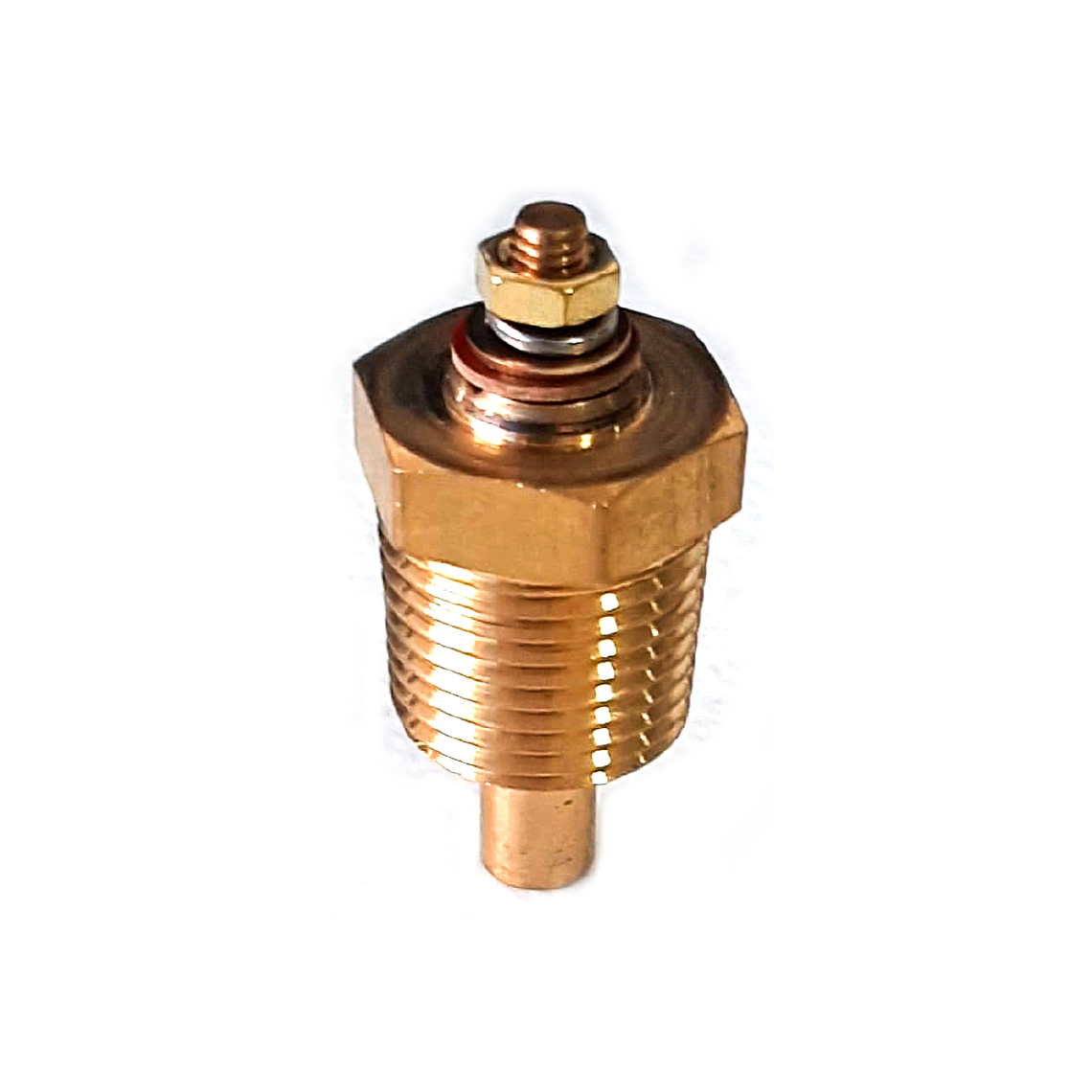 3015238 1/2 NPT Sensor de Temperatura Genérico 2