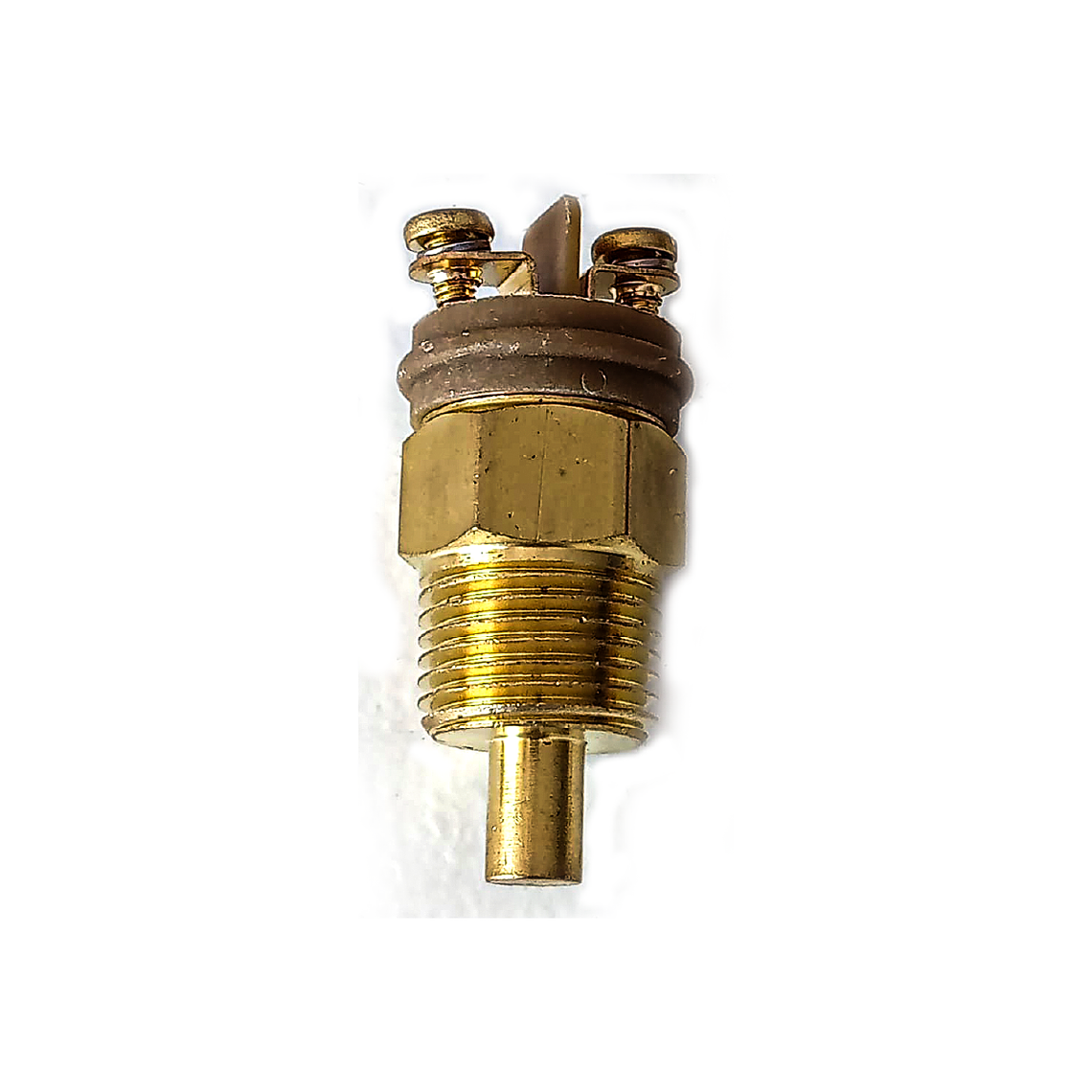 ES2T-250/300-1/2 Sensor de Temperatura Genérico 1