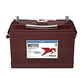 30XHS Batería Trojan Ciclo Profundo 12V - 130Ah - Miniatura 2