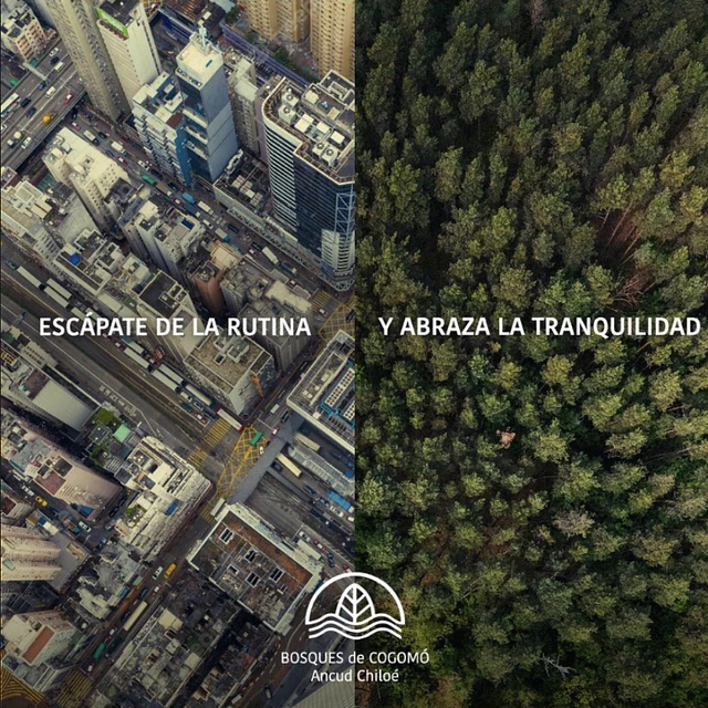 Diez Cuatro Marketing 