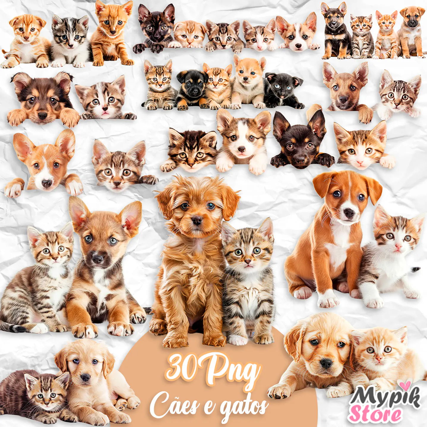Kit Digital Cães e Gatos Observando  1