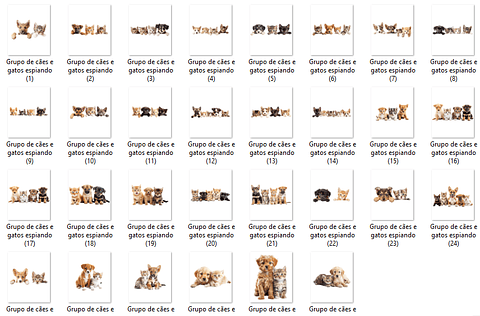 Kit Digital Cães e Gatos Observando 