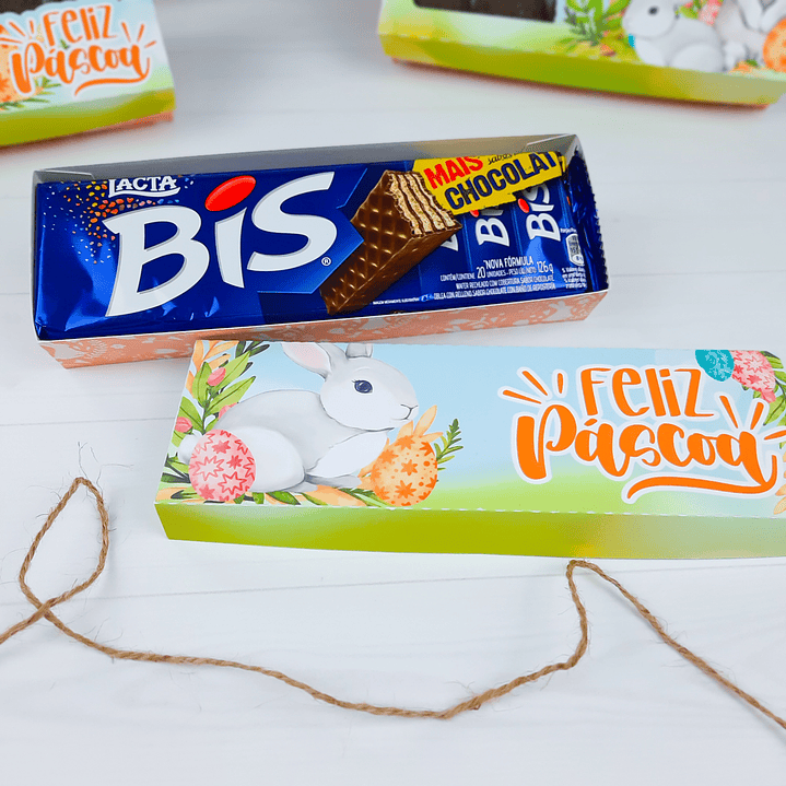 Arquivo de Corte Coelhinho Páscoa Silhouette e PDF 23