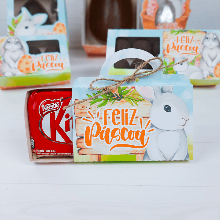 Arquivo de Corte Coelhinho Páscoa Silhouette e PDF 24