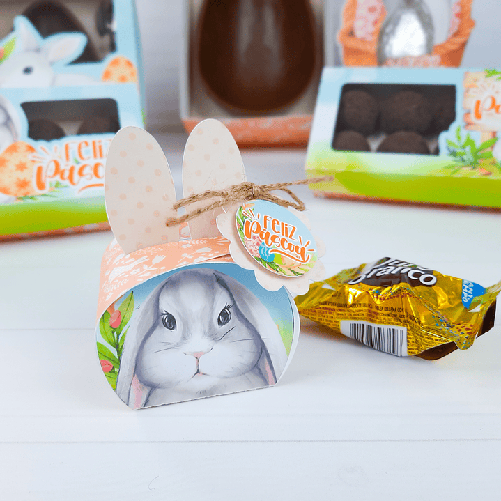 Arquivo de Corte Coelhinho Páscoa Silhouette e PDF 37