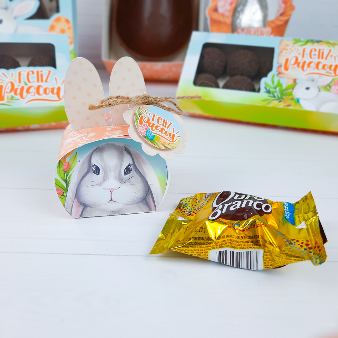 Arquivo de Corte Coelhinho Páscoa Silhouette e PDF 38