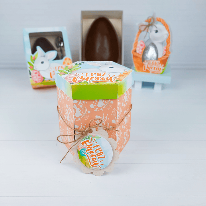 Arquivo de Corte Coelhinho Páscoa Silhouette e PDF 61