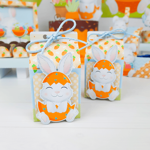 Arquivo de Corte Páscoa Coelhinho Menino