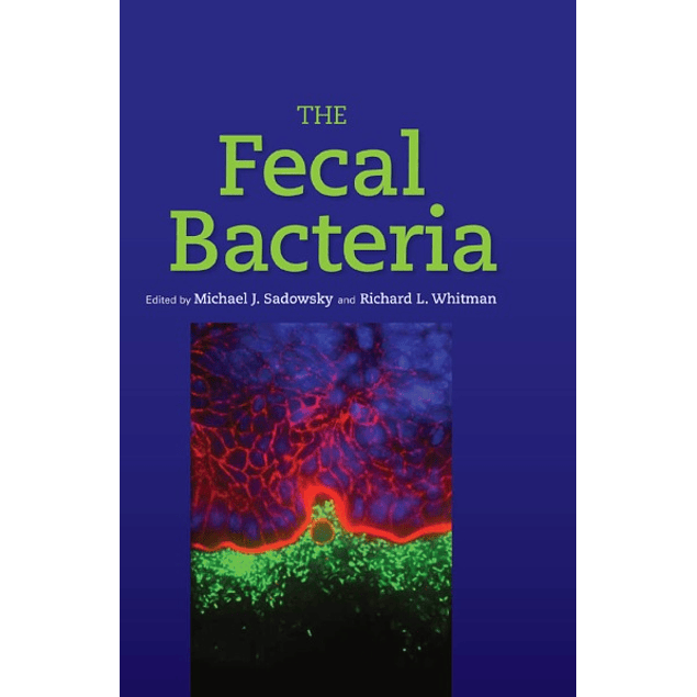 The Fecal Bacteria