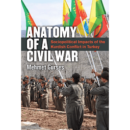  Anatomy of a Civil War: Sociopolitical Impacts of the Kurdish Conflict in Turkey 