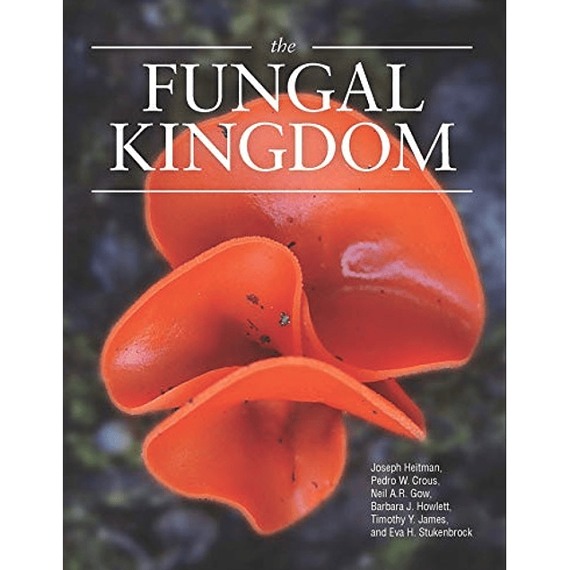The Fungal Kingdom