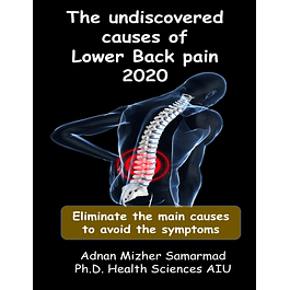 The undiscovered causes of Lower Back Pain: Eliminate the main causes to avoid the symptoms 