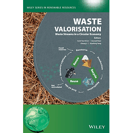 Waste Valorisation: Waste Streams in a Circular Economy