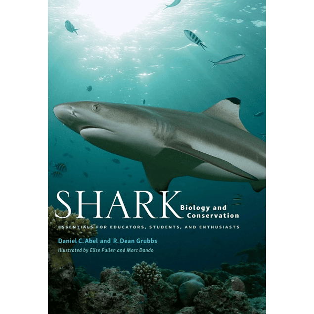 Shark Biology and Conservation: Essentials for Educators, Students, and Enthusiasts