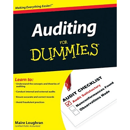 Auditing For Dummies