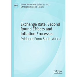 Exchange Rate, Second Round Effects and Inflation Processes: Evidence From South Africa