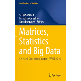 Matrices, Statistics and Big Data: Selected Contributions from IWMS 2016