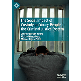 The Social Impact of Custody on Young People in the Criminal Justice System