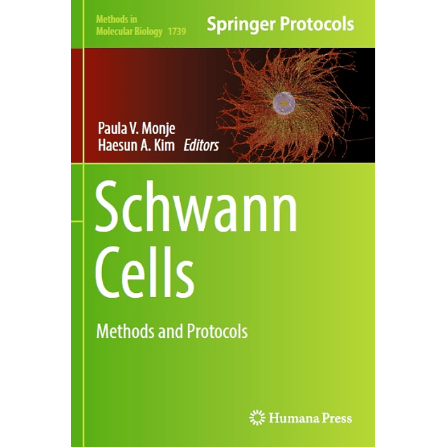Schwann Cells: Methods and Protocols