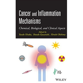 Cancer and Inflammation Mechanisms: Chemical, Biological, and Clinical Aspects