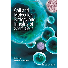 Cell and Molecular Biology and Imaging of Stem Cells