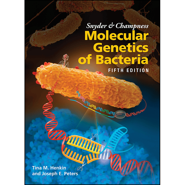 Snyder and Champness Molecular Genetics of Bacteria