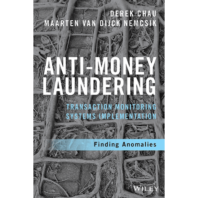 Anti-Money Laundering Transaction Monitoring Systems Implementation: Finding Anomalies