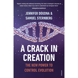 Crack In Creation