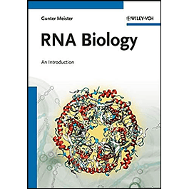RNA Biology: An Introduction