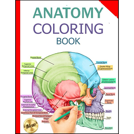 Anatomy Coloring Book: And Physiology Workbook