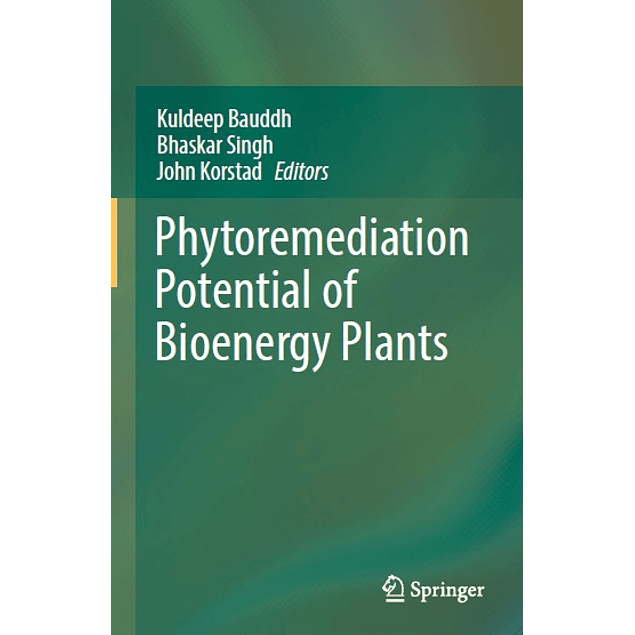 Phytoremediation Potential of Bioenergy Plants