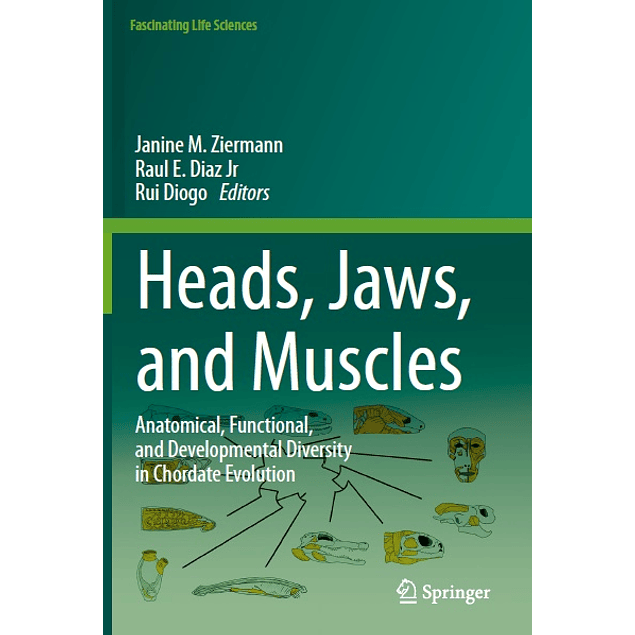 Heads, Jaws, and Muscles: Anatomical, Functional, and Developmental Diversity in Chordate Evolution