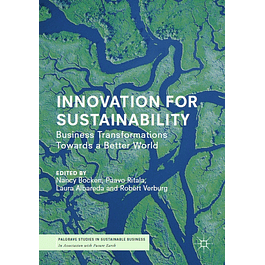 Innovation for Sustainability: Business Transformations Towards a Better World