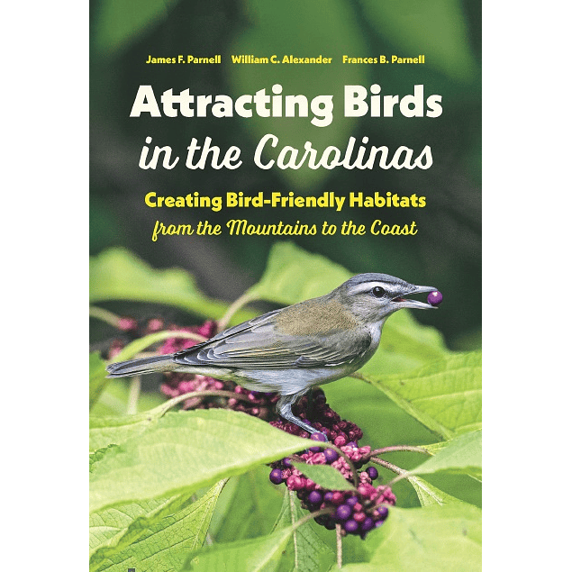 Attracting Birds in the Carolinas: Creating Bird-Friendly Habitats from the Mountains to the Coast