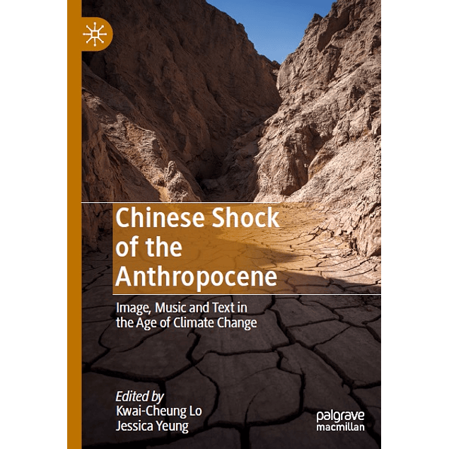 Chinese Shock of the Anthropocene: Image, Music and Text in the Age of Climate Change