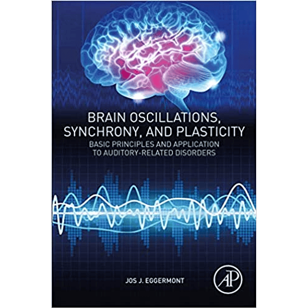 Brain Oscillations, Synchrony and Plasticity: Basic Principles and Application to Auditory-Related Disorders