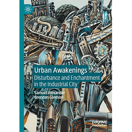 Urban Awakenings: Disturbance and Enchantment in the Industrial City