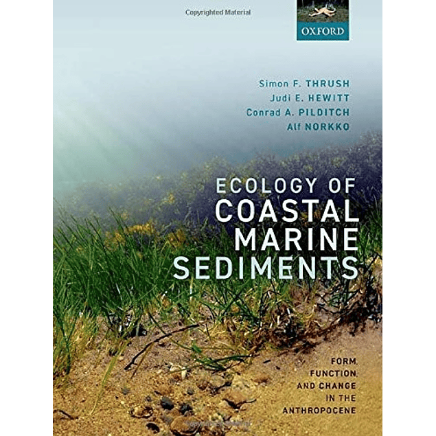 Ecology of Coastal Marine Sediments: Form, Function, and Change in the Anthropocene