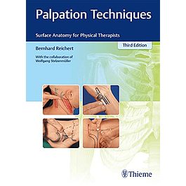 Palpation Techniques: Surface Anatomy for Physical Therapists