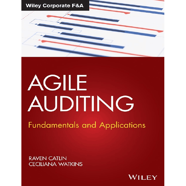 Agile Auditing: Fundamentals and Applications