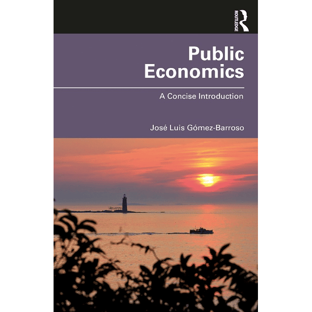 Public Economics: A Concise Introduction 