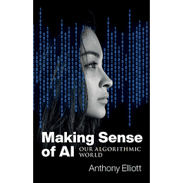 Making Sense of Ai: Our Algorithmic World