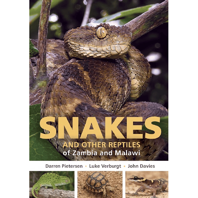 Field Guide to Snakes and other Reptiles of Zambia and Malawi