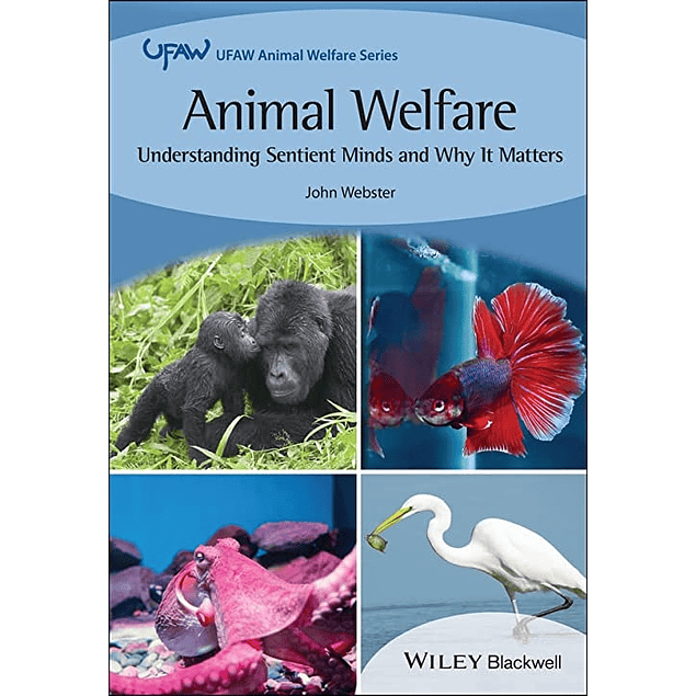 Animal Welfare: Understanding Sentient Minds and Why It Matters
