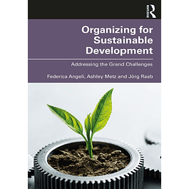 Organizing for Sustainable Development: Addressing the Grand Challenges