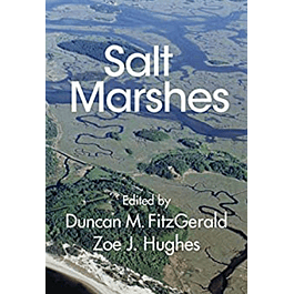 Salt Marshes: Function, Dynamics, and Stresses