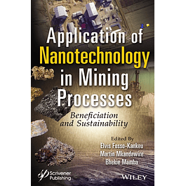 Application of Nanotechnology in Mining Processes: Beneficiation and Sustainability